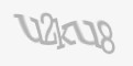 Защитный код