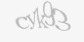 Защитный код