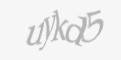 Защитный код